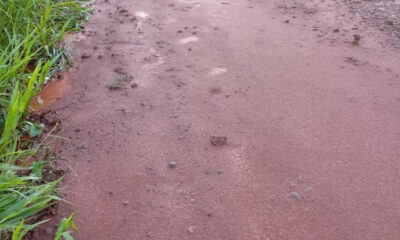 27 02 2025 073630 1740652590.01