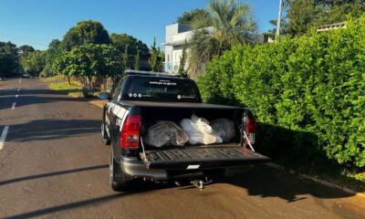 481078048 1444741366663787 682412679298864873 n