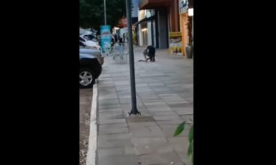 captura de tela 2025 02 18 083648