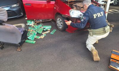 imagem do whatsapp de 2025 02 16 as 19.24.49 4c76622c