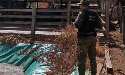 whatsapp image 2025 02 11 at 21.40.19 1 e1739358812100