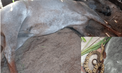 bszvhxe7i2iji4dehri8uzjcir5v7evdi4khdqpy