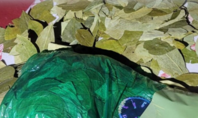 formato site 2025 02 24t115441.937 1536x865 1