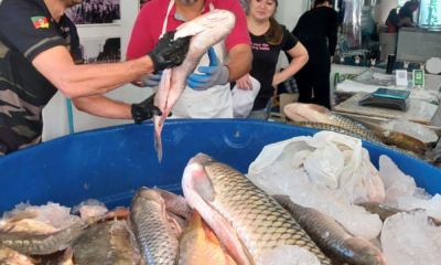 portal plural abertura da 32ª feira do peixe movimenta o mercado público de santa rosa