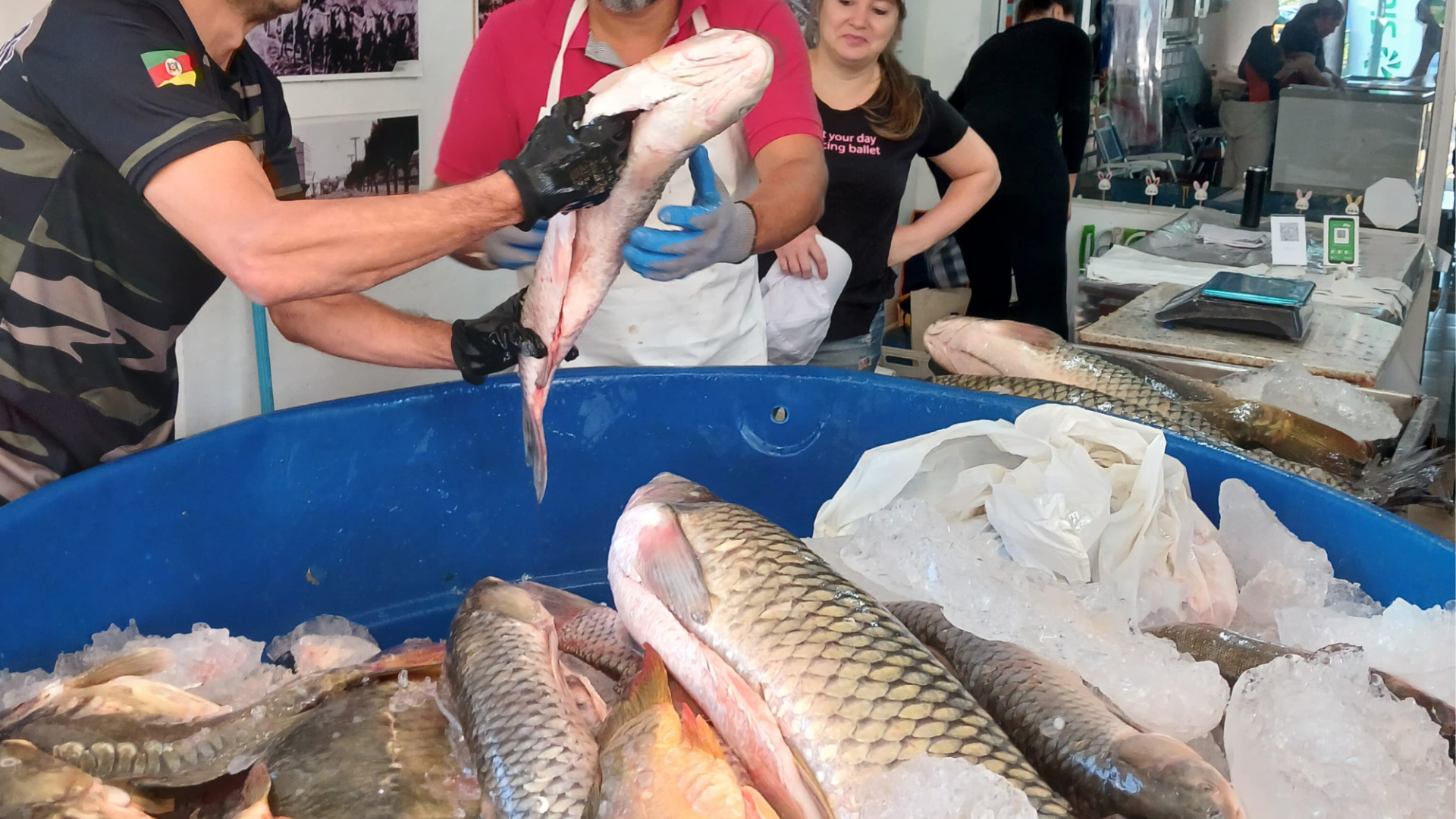portal plural abertura da 32ª feira do peixe movimenta o mercado público de santa rosa